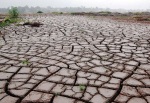 El Nino Drought Effects by Gregg Yan, WWF
